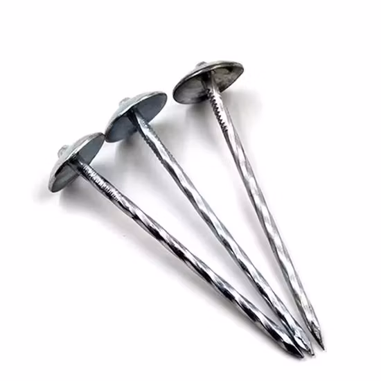 꼬인 샤프트가 있는 전기 아연 도금 루핑 못