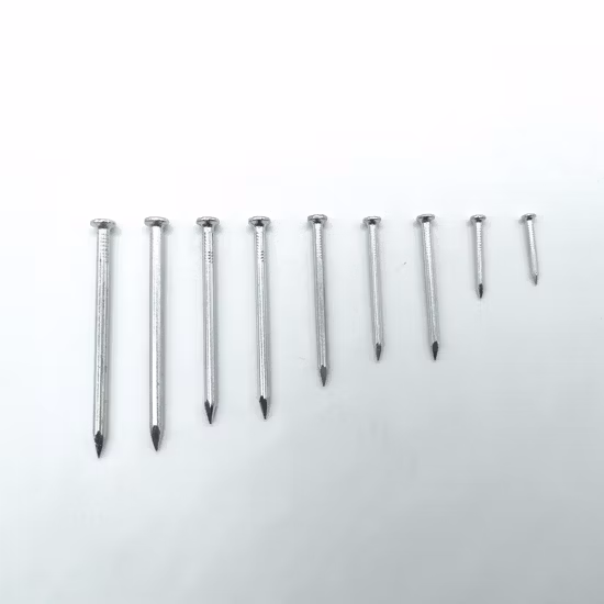 철/강철/시멘트/일반/둥근머리/후크/지붕/롤러/사격/못