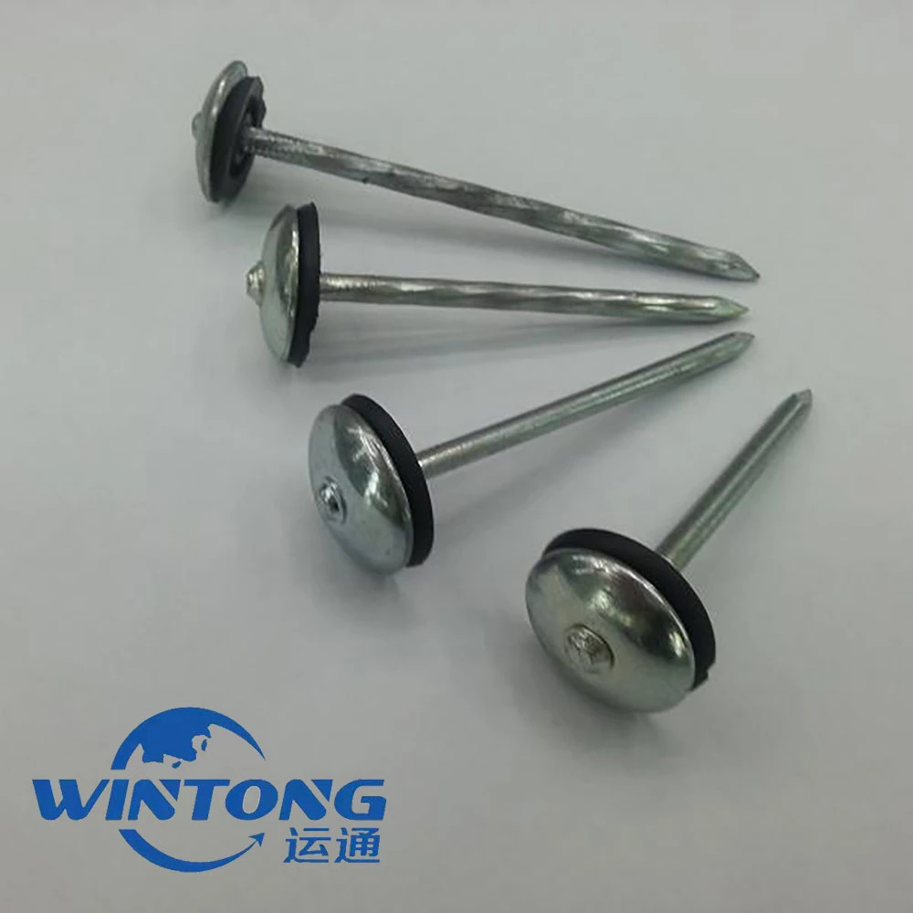 Good Quality Galvanized Umbrealla Head Roofing Nails