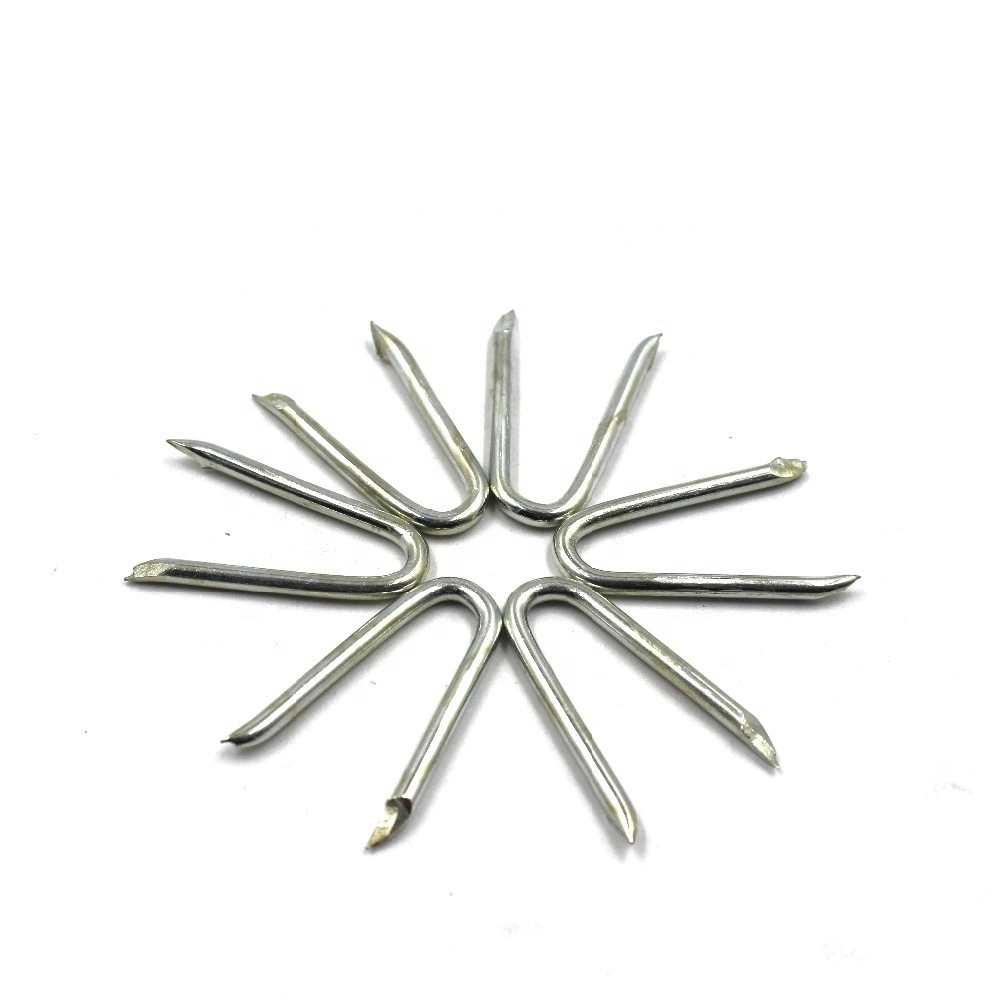 30mm-50mm Heavy Zinc Coating HDG Staples V Type Nails