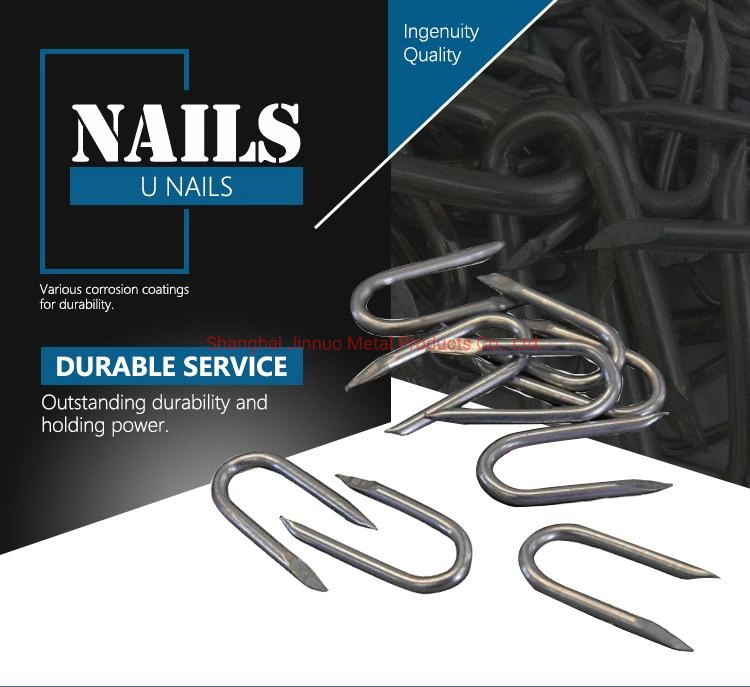 SOD Staples/U Type Nail/U Shaped Nail Direct Factory