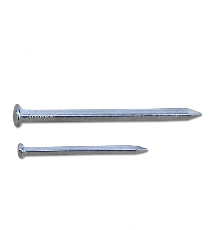 Galvanized Rose Head Square Boat Nail in Guangzhou