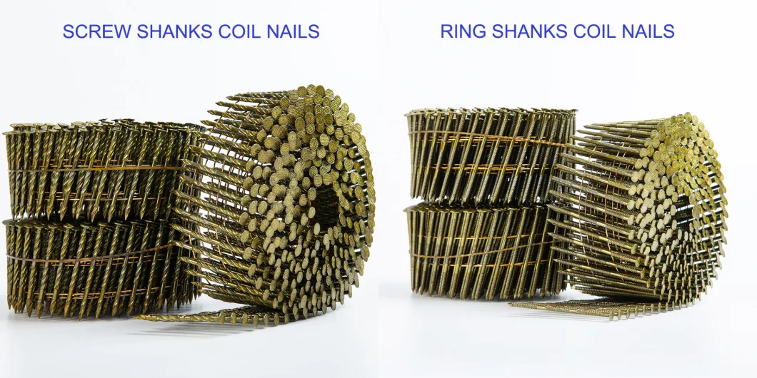 High Quality Screw Shank Coil Nail for Frame Structures and Making Wooden Pallet