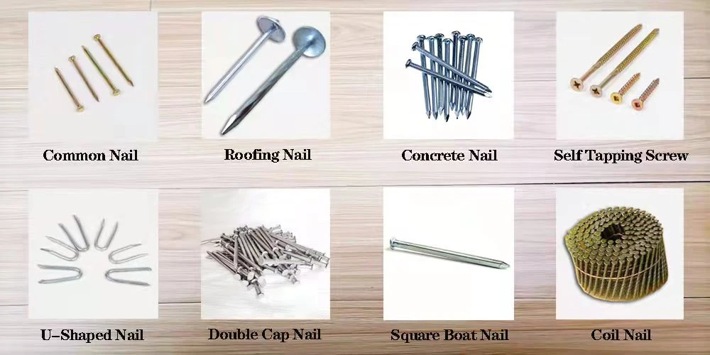 Building Hardware/Polished Mild Steel/Round Head Nails/Double Cap Nails