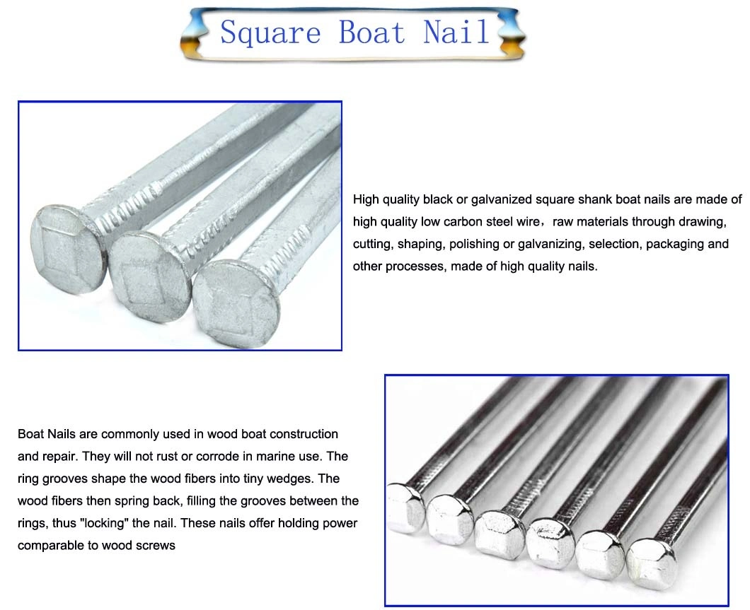 Anti-Rust Iron Nail Reasonable Price Square Shank Nail Polished/Galvanized Square Boat Nail