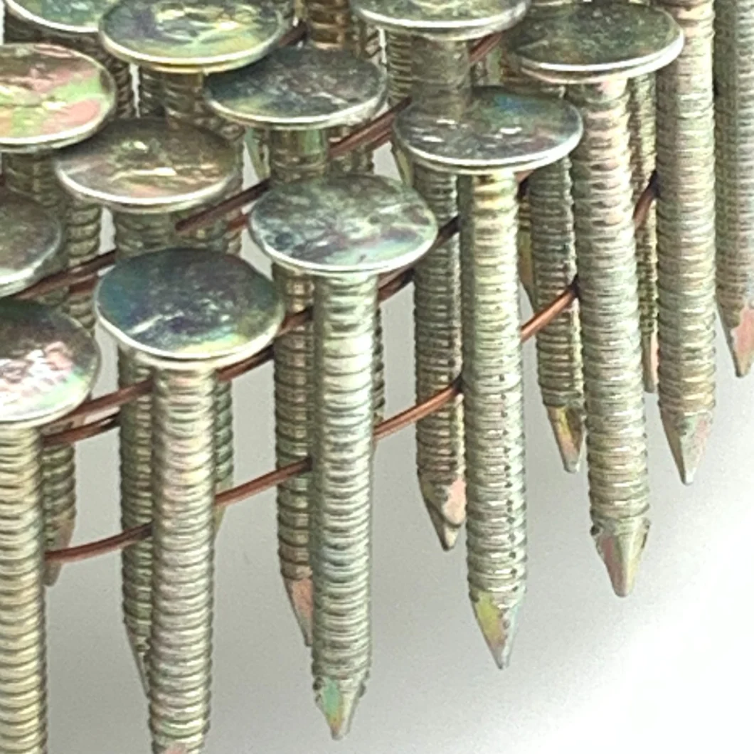 Wire Collated Coil Nails with Polished in Ring Shank for Pneumatic Guns