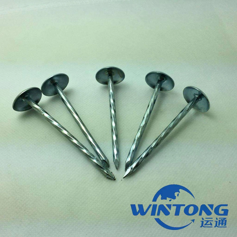 Good Quality Galvanized Umbrealla Head Roofing Nails